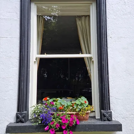 Vandrarhem The House