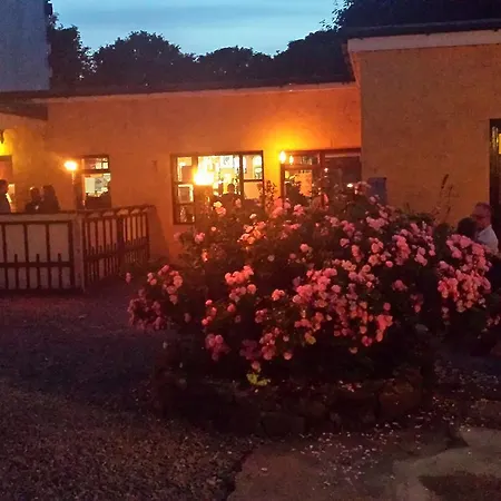 Hostel The House *